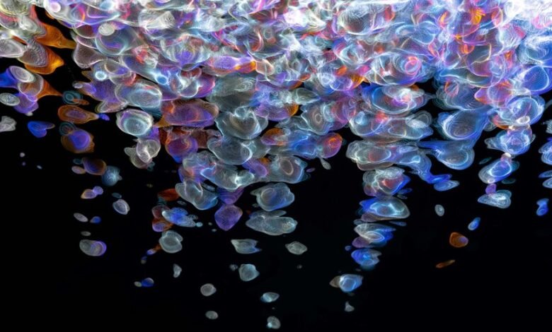 apex fusion market flow